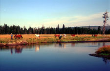 USA-Montana-Yellowstone Pack Trips